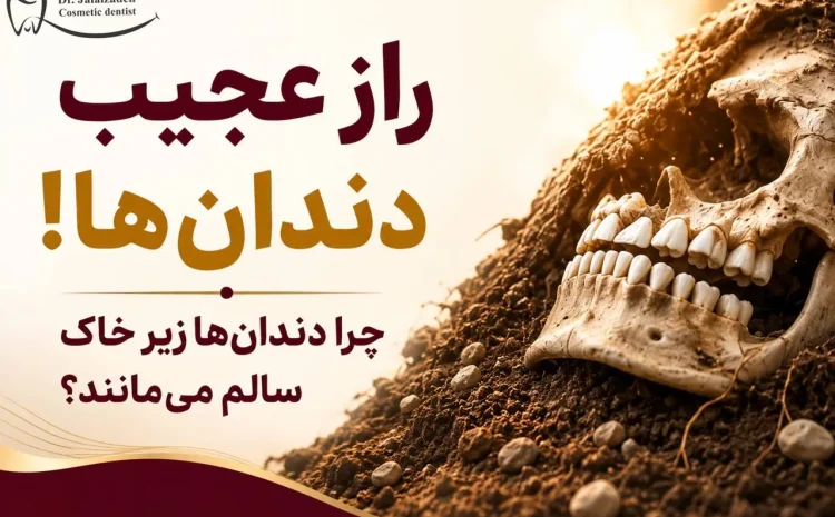  راز عجیب دندان‌ ها ؛ چرا زیر خاک سالم می‌مانند اما داخل دهان پوسیده می‌شوند؟