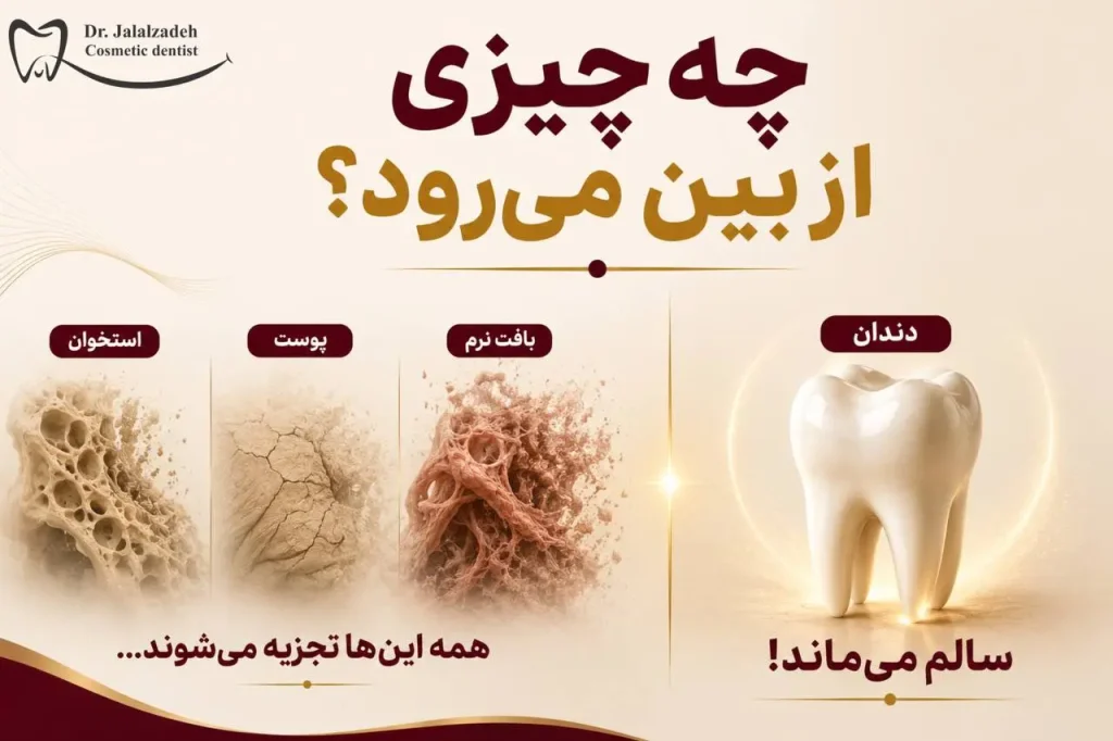 چرا زیر خاک پوسیدگی اتفاق نمی‌افتد؟